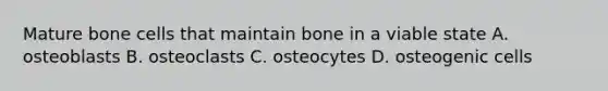 Mature bone cells that maintain bone in a viable state A. osteoblasts B. osteoclasts C. osteocytes D. osteogenic cells