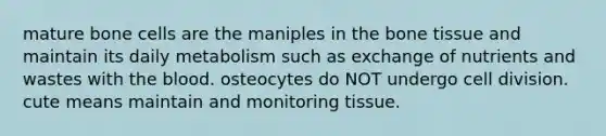 mature bone cells are the maniples in the bone tissue and maintain its daily metabolism such as exchange of nutrients and wastes with the blood. osteocytes do NOT undergo cell division. cute means maintain and monitoring tissue.