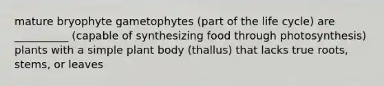 mature bryophyte gametophytes (part of the life cycle) are __________ (capable of synthesizing food through photosynthesis) plants with a simple plant body (thallus) that lacks true roots, stems, or leaves