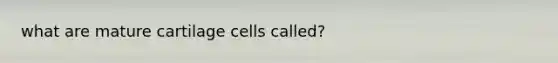 what are mature cartilage cells called?