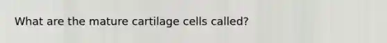 What are the mature cartilage cells called?