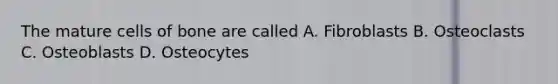 The mature cells of bone are called A. Fibroblasts B. Osteoclasts C. Osteoblasts D. Osteocytes
