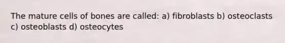 The mature cells of bones are called: a) fibroblasts b) osteoclasts c) osteoblasts d) osteocytes