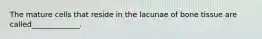 The mature cells that reside in the lacunae of bone tissue are called_____________.