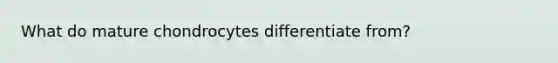 What do mature chondrocytes differentiate from?