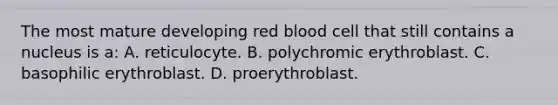 The most mature developing red blood cell that still contains a nucleus is a: A. reticulocyte. B. polychromic erythroblast. C. basophilic erythroblast. D. proerythroblast.