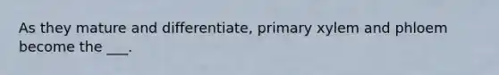 As they mature and differentiate, primary xylem and phloem become the ___.