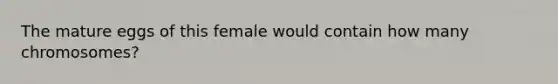 The mature eggs of this female would contain how many chromosomes?