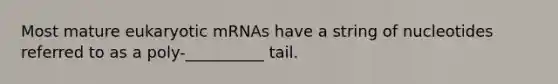 Most mature eukaryotic mRNAs have a string of nucleotides referred to as a poly-__________ tail.