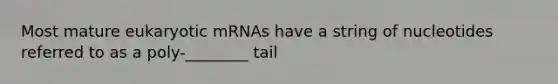 Most mature eukaryotic mRNAs have a string of nucleotides referred to as a poly-________ tail