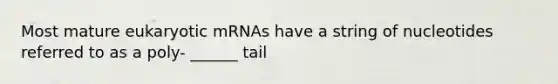 Most mature eukaryotic mRNAs have a string of nucleotides referred to as a poly- ______ tail