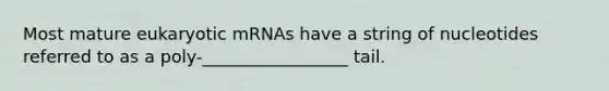 Most mature eukaryotic mRNAs have a string of nucleotides referred to as a poly-_________________ tail.