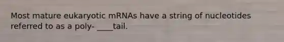 Most mature eukaryotic mRNAs have a string of nucleotides referred to as a poly- ____tail.