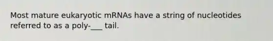 Most mature eukaryotic mRNAs have a string of nucleotides referred to as a poly-___ tail.