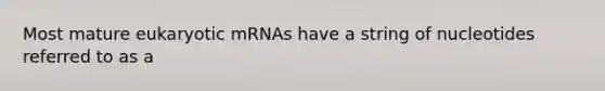 Most mature eukaryotic mRNAs have a string of nucleotides referred to as a