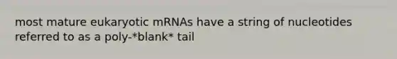 most mature eukaryotic mRNAs have a string of nucleotides referred to as a poly-*blank* tail