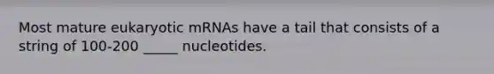 Most mature eukaryotic mRNAs have a tail that consists of a string of 100-200 _____ nucleotides.