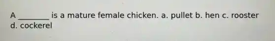 A ________ is a mature female chicken. a. pullet b. hen c. rooster d. cockerel