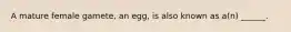 A mature female gamete, an egg, is also known as a(n) ______.