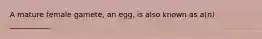 A mature female gamete, an egg, is also known as a(n) ___________