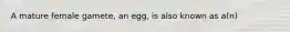 A mature female gamete, an egg, is also known as a(n)