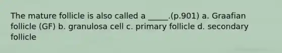 The mature follicle is also called a _____.(p.901) a. Graafian follicle (GF) b. granulosa cell c. primary follicle d. secondary follicle