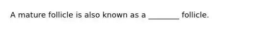 A mature follicle is also known as a ________ follicle.