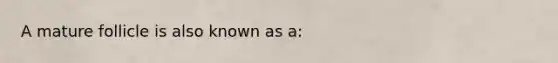 A mature follicle is also known as a: