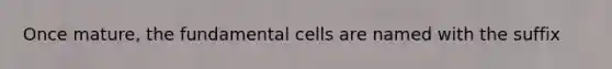 Once mature, the fundamental cells are named with the suffix