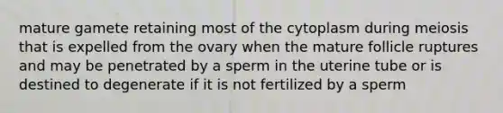 mature gamete retaining most of the cytoplasm during meiosis that is expelled from the ovary when the mature follicle ruptures and may be penetrated by a sperm in the uterine tube or is destined to degenerate if it is not fertilized by a sperm