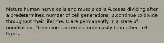 Mature human nerve cells and muscle cells A.cease dividing after a predetermined number of cell generations. B.continue to divide throughout their lifetime. C.are permanently in a state of nondivision. D.become cancerous more easily than other cell types.