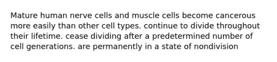 Mature human nerve cells and muscle cells become cancerous more easily than other cell types. continue to divide throughout their lifetime. cease dividing after a predetermined number of cell generations. are permanently in a state of nondivision