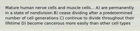 Mature human nerve cells and muscle cells... A) are permanently in a state of nondivision B) cease dividing after a predetermined number of cell generations C) continue to divide throughout their lifetime D) become cancerous more easily than other cell types