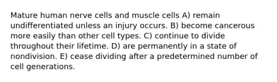 Mature human nerve cells and muscle cells A) remain undifferentiated unless an injury occurs. B) become cancerous more easily than other cell types. C) continue to divide throughout their lifetime. D) are permanently in a state of nondivision. E) cease dividing after a predetermined number of cell generations.