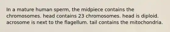 In a mature human sperm, the midpiece contains the chromosomes. head contains 23 chromosomes. head is diploid. acrosome is next to the flagellum. tail contains the mitochondria.