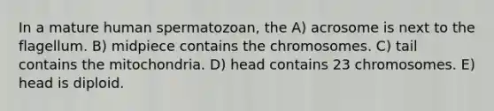 In a mature human spermatozoan, the A) acrosome is next to the flagellum. B) midpiece contains the chromosomes. C) tail contains the mitochondria. D) head contains 23 chromosomes. E) head is diploid.