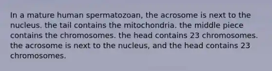 In a mature human spermatozoan, the acrosome is next to the nucleus. the tail contains the mitochondria. the middle piece contains the chromosomes. the head contains 23 chromosomes. the acrosome is next to the nucleus, and the head contains 23 chromosomes.