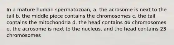 In a mature human spermatozoan, a. the acrosome is next to the tail b. the middle piece contains the chromosomes c. the tail contains the mitochondria d. the head contains 46 chromosomes e. the acrosome is next to the nucleus, and the head contains 23 chromosomes