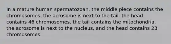 In a mature human spermatozoan, the middle piece contains the chromosomes. the acrosome is next to the tail. the head contains 46 chromosomes. the tail contains the mitochondria. the acrosome is next to the nucleus, and the head contains 23 chromosomes.