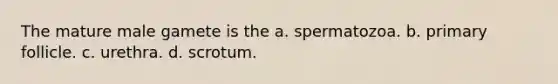 The mature male gamete is the a. spermatozoa. b. primary follicle. c. urethra. d. scrotum.