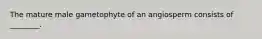 The mature male gametophyte of an angiosperm consists of ________.