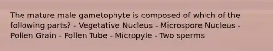 The mature male gametophyte is composed of which of the following parts? - Vegetative Nucleus - Microspore Nucleus - Pollen Grain - Pollen Tube - Micropyle - Two sperms