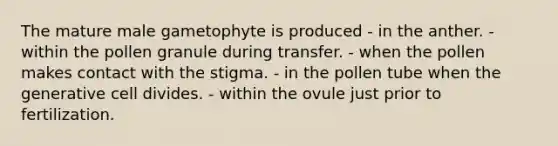 The mature male gametophyte is produced - in the anther. - within the pollen granule during transfer. - when the pollen makes contact with the stigma. - in the pollen tube when the generative cell divides. - within the ovule just prior to fertilization.