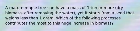 A mature maple tree can have a mass of 1 ton or more (dry biomass, after removing the water), yet it starts from a seed that weighs less than 1 gram. Which of the following processes contributes the most to this huge increase in biomass?