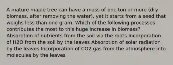 A mature maple tree can have a mass of one ton or more (dry biomass, after removing the water), yet it starts from a seed that weighs less than one gram. Which of the following processes contributes the most to this huge increase in biomass? Absorption of nutrients from the soil via the roots Incorporation of H2O from the soil by the leaves Absorption of solar radiation by the leaves Incorporation of CO2 gas from the atmosphere into molecules by the leaves