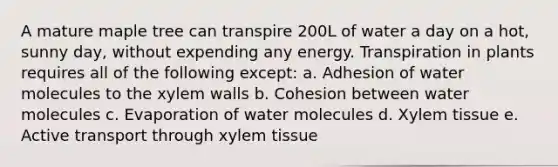 A mature maple tree can transpire 200L of water a day on a hot, sunny day, without expending any energy. Transpiration in plants requires all of the following except: a. Adhesion of water molecules to the xylem walls b. Cohesion between water molecules c. Evaporation of water molecules d. Xylem tissue e. Active transport through xylem tissue