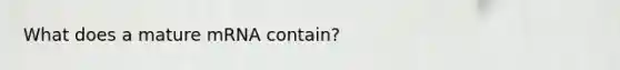 What does a mature mRNA contain?