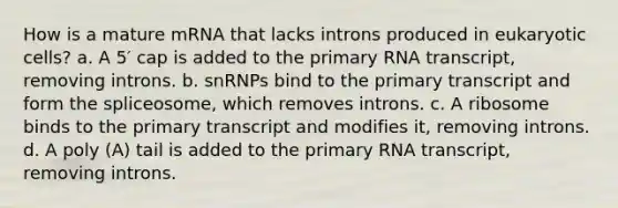 How is a mature mRNA that lacks introns produced in eukaryotic cells? a. A 5′ cap is added to the primary RNA transcript, removing introns. b. snRNPs bind to the primary transcript and form the spliceosome, which removes introns. c. A ribosome binds to the primary transcript and modifies it, removing introns. d. A poly (A) tail is added to the primary RNA transcript, removing introns.