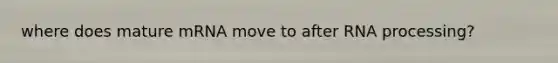 where does mature mRNA move to after <a href='https://www.questionai.com/knowledge/kapY3KpASG-rna-processing' class='anchor-knowledge'>rna processing</a>?
