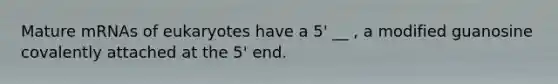 Mature mRNAs of eukaryotes have a 5' __ , a modified guanosine covalently attached at the 5' end.
